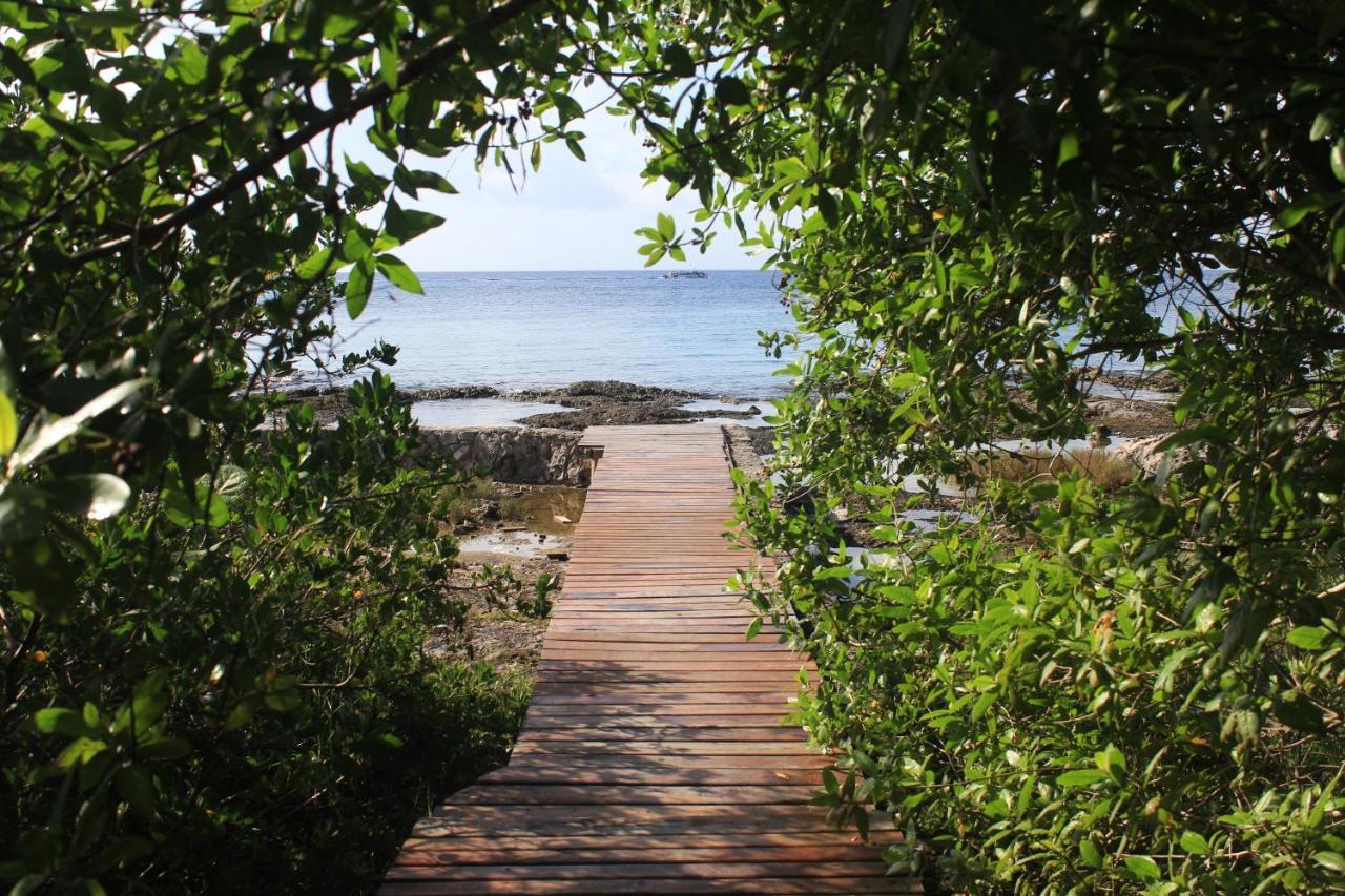 Amplio Estudio En Cozumel, Condominio Privado E12 외부 사진